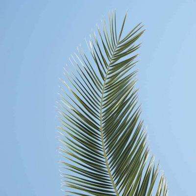 江南体育下载下载手机版