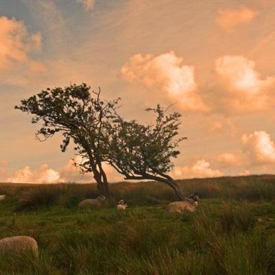 BOB·体育APP下载