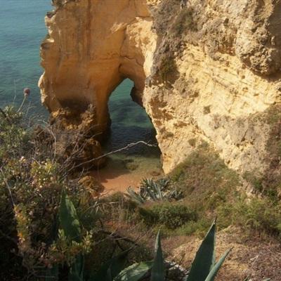 购彩中心welcome入口官方版