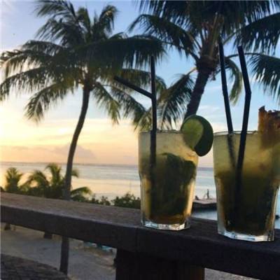 风云体育官方APP