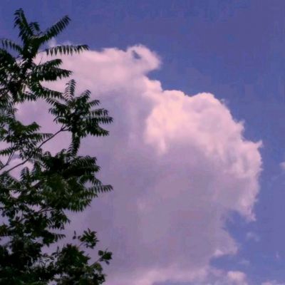 皇冠体育app正版下载截图