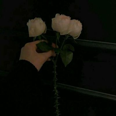 天博国际电子游戏app